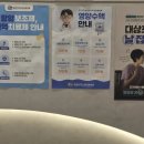 대전성모내과의원 네이버블로그