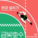 금빛성인태권도 이미지