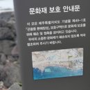 곤을동환해장성 이미지