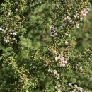 케이슈퍼마켓 이미지