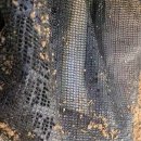 청정장어 이미지