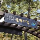 태안농협하나로마트 이미지