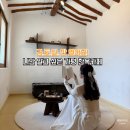 [가평여행추천] 고양이랑 한옥 정원 힐링, 가평 감성카페 ‘신하리1955’ 후기