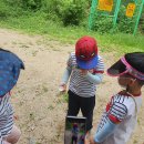 본아미강남어린이집 이미지