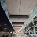 돌담길 | 아이와 덕수궁 돌담길 야경 산책 후기｜차 없는 거리 시간·대한문 포토존까지