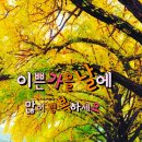 임영웅 - 사랑은 늘 도망가 /신사와 아가씨 OST 이미지