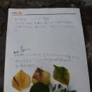 사계절 생태놀이 이미지