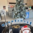 내룡 | 천안 불당동 원두 로스터리 필터 커피 카페 | 헥스커피로스터스쇼룸