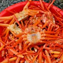 대게왕국 이미지