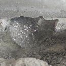 수원-1399 이미지