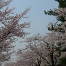 (주) 서울랜드 이미지