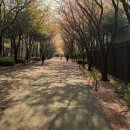 공덕 오거리 버스정류장(14-149) | 서울 마포 철길 풍경 경의선 숲길