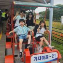 날개바이크 | 곡성 섬진강 기차마을 레일바이크 요금 아이와 가볼만한곳