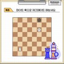 체크메이트 룩 이미지