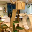 히히냥냥 이미지