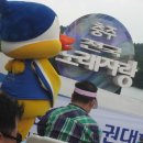 탄금호국제조정경기장 경기장 이미지