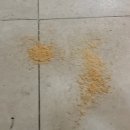 그린청소대행 이미지