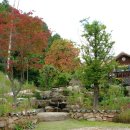 산머루펜션 이미지