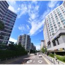 덕영대로1246번길 이미지