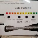 비케이헤어 - 달서구 학산로50길 42 | 비케이헤어