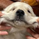 올림푸스원 이미지