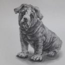 노을이슬 이미지