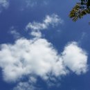 남천병원 이미지