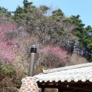 축령산휴림 이미지