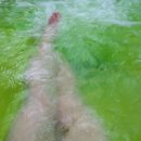 이(E.)편한세상세탁 이미지