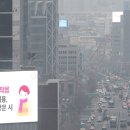 그린피스환경개발 이미지