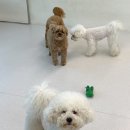 우다닷 이미지