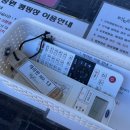 대왕암공원오토캠핑장 13번 카라반 이용 후기 (+슬도)