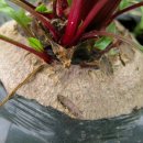 중천농장 이미지