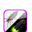 자연의쉼터 이미지