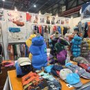 펫맘애 | [댕댕이 페어] 2025 크리스마스 서울펫쇼 방문 + 펫쇼백 당첨 후기 | 중형견 진도믹스