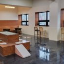 양코치 애견카페 이미지