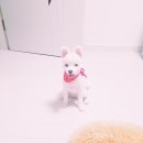 신당 좋아요 동물병원 이미지