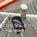 안의노모당 | 고양이 당뇨, 증상 및 치료 2년째 케어 후기