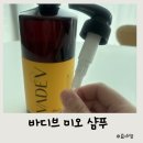 한국그린케어 | 퍼퓸 샴푸 추천 바디브 미오 샴푸 지루성 두피 케어 후기