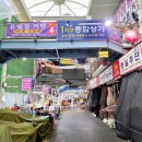 은빛창
