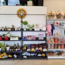 솔빈 마루 이미지