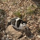 베일러의원 이미지