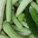 여주-0935 Daum카페
