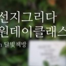 선지그리다 이미지