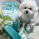 그린펫클럽 이미지