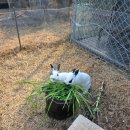 다울농장 | 보성 달달다래 키위골'다울'에서 즐긴 키위 힐링 체험활동