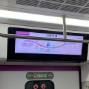 백마약국 | 태춘콘 참석을 빙자한 부산 여행 후기