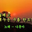 세월베고 길게누은 구름한조각/나훈아 이미지