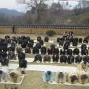 안산서원 이미지