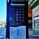 비발디파크 스키강습 렌탈샵 미스타 스키학교 소노벨 비발디파크 스키장 리프트권 가격